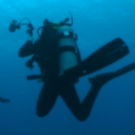 Group logo of Scuba Diving