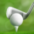 Group logo of Golfing